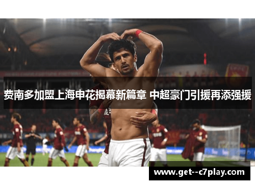 费南多加盟上海申花揭幕新篇章 中超豪门引援再添强援