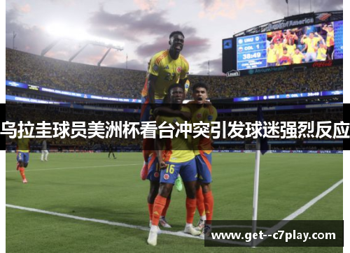 乌拉圭球员美洲杯看台冲突引发球迷强烈反应 乌拉圭球员美洲杯看台冲突引发球迷强烈反应