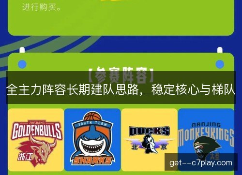 全主力阵容长期建队思路，稳定核心与梯队